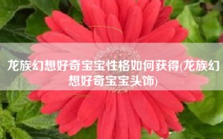 龙族幻想好奇宝宝性格如何获得(龙族幻想好奇宝宝头饰)