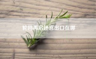 轮回再启迷宫出口在哪