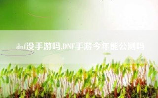 dnf没手游吗,DNF手游今年能公测吗