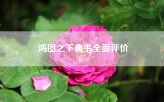 鸿图之下典韦全面评价