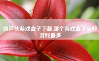 胡芦侠游戏盒子下载,哪个游戏盒子破解游戏最多