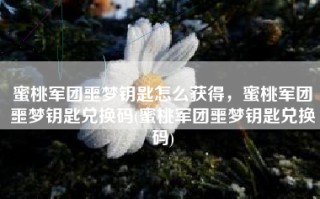 蜜桃军团噩梦钥匙怎么获得，蜜桃军团噩梦钥匙兑换码(蜜桃军团噩梦钥匙兑换码)