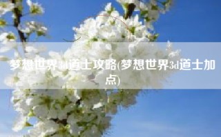 梦想世界3d道士攻略(梦想世界3d道士加点)