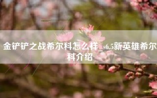 金铲铲之战希尔科怎么样_s6.5新英雄希尔科介绍