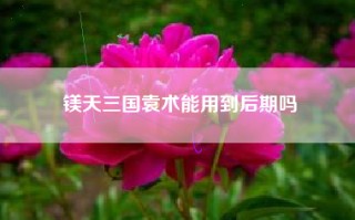 镁天三国袁术能用到后期吗