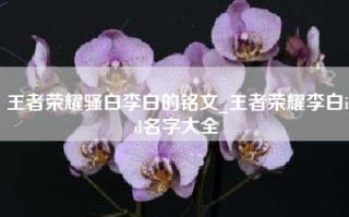 王者荣耀骚白李白的铭文_王者荣耀李白id名字大全