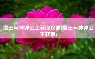 魔王与神锤公主获取攻略(魔王与神锤公主获取)