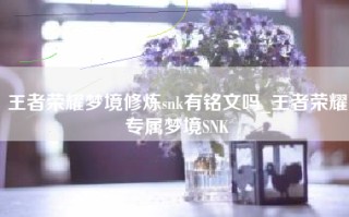 王者荣耀梦境修炼snk有铭文吗_王者荣耀专属梦境SNK
