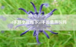 cf手游小丑陛下,cf手游值得玩吗