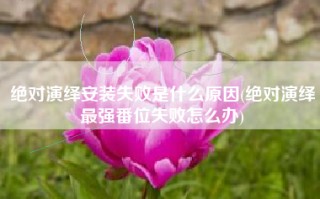 绝对演绎安装失败是什么原因(绝对演绎最强番位失败怎么办)