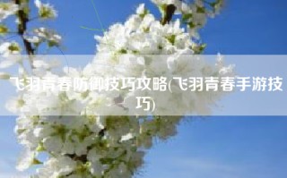 飞羽青春防御技巧攻略(飞羽青春手游技巧)