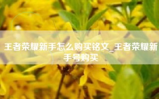 王者荣耀新手怎么购买铭文_王者荣耀新手号购买