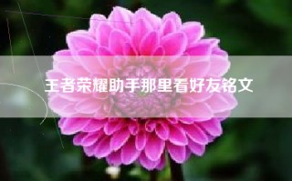 王者荣耀助手那里看好友铭文