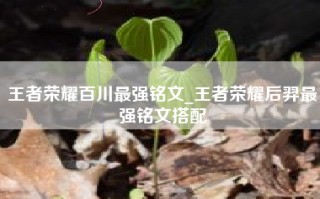 王者荣耀百川最强铭文_王者荣耀后羿最强铭文搭配