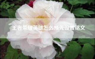 王者荣耀英雄怎么预先设置铭文