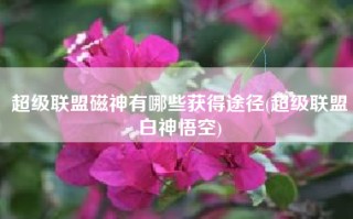 超级联盟磁神有哪些获得途径(超级联盟白神悟空)