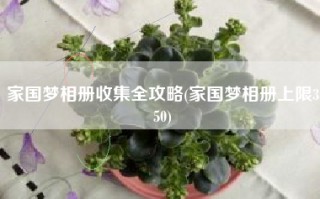 家国梦相册收集全攻略(家国梦相册上限350)