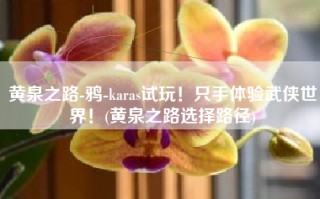 黄泉之路-鸦-karas试玩！只手体验武侠世界！(黄泉之路选择路径)