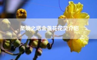 圣境之塔金盏花花灵介绍
