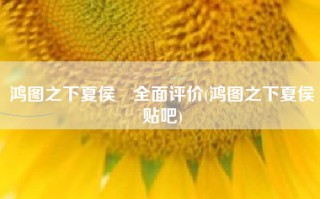 鸿图之下夏侯惇全面评价(鸿图之下夏侯惇贴吧)