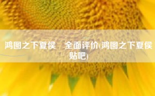 鸿图之下夏侯惇全面评价(鸿图之下夏侯惇贴吧)