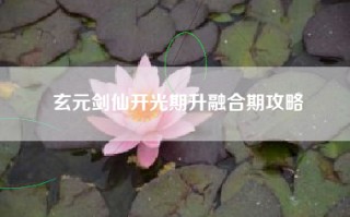 玄元剑仙开光期升融合期攻略