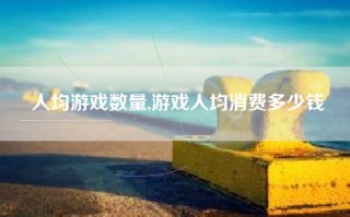 人均游戏数量,游戏人均消费多少钱