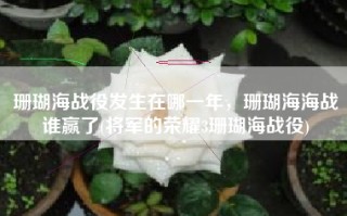 珊瑚海战役发生在哪一年，珊瑚海海战谁赢了(将军的荣耀3珊瑚海战役)