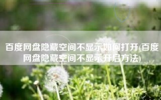 百度网盘隐藏空间不显示如何打开(百度网盘隐藏空间不显示开启方法)