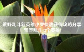 荒野乱斗新英雄小罗快速获得攻略分享(荒野乱斗63个英雄)