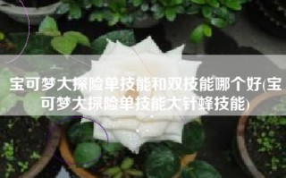 宝可梦大探险单技能和双技能哪个好(宝可梦大探险单技能大针蜂技能)
