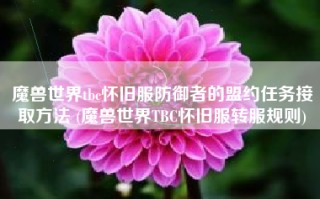 魔兽世界tbc怀旧服防御者的盟约任务接取方法 (魔兽世界TBC怀旧服转服规则)