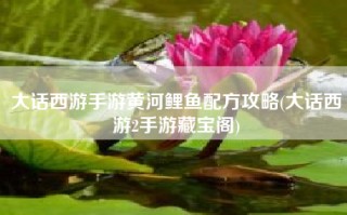 大话西游手游黄河鲤鱼配方攻略(大话西游2手游藏宝阁)
