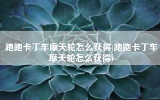 跑跑卡丁车摩天轮怎么获得(跑跑卡丁车摩天轮怎么获得)