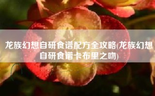 龙族幻想自研食谱配方全攻略(龙族幻想自研食谱卡布里之吻)