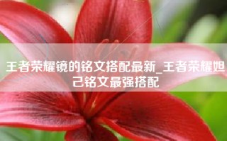王者荣耀镜的铭文搭配最新_王者荣耀妲己铭文最强搭配