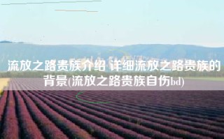 流放之路贵族介绍 详细流放之路贵族的背景(流放之路贵族自伤bd)