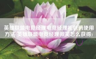 英雄联盟电竞经理电竞经理礼包码使用方法(英雄联盟电竞经理微笑怎么获得)