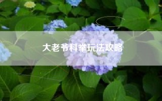 大老爷科举玩法攻略