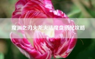 魔渊之刃火龙火法魔盘搭配攻略