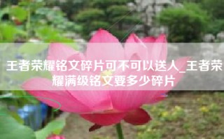 王者荣耀铭文碎片可不可以送人_王者荣耀满级铭文要多少碎片