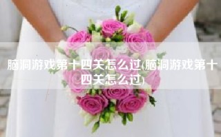 脑洞游戏第十四关怎么过(脑洞游戏第十四关怎么过)