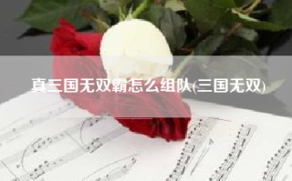 真三国无双霸怎么组队(三国无双)