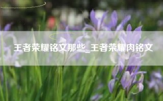 王者荣耀铭文那些_王者荣耀肉铭文