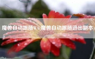 魔兽自动跟随WA(魔兽自动跟随进出副本)