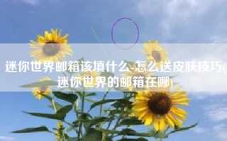 迷你世界邮箱该填什么-怎么送皮肤技巧(迷你世界的邮箱在哪)