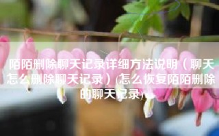 陌陌删除聊天记录详细方法说明（聊天怎么删除聊天记录）(怎么恢复陌陌删除的聊天记录)