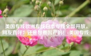 美国专线欧洲专线日本专线全部开放，网友直呼：还是想要国产的！(美国专线)