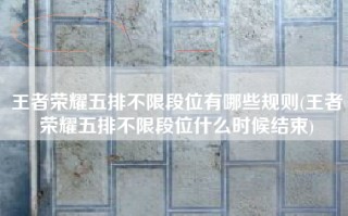 王者荣耀五排不限段位有哪些规则(王者荣耀五排不限段位什么时候结束)