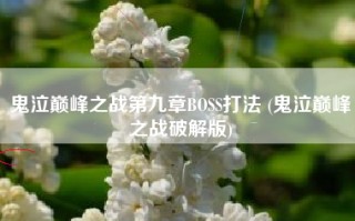 鬼泣巅峰之战第九章BOSS打法 (鬼泣巅峰之战破解版)